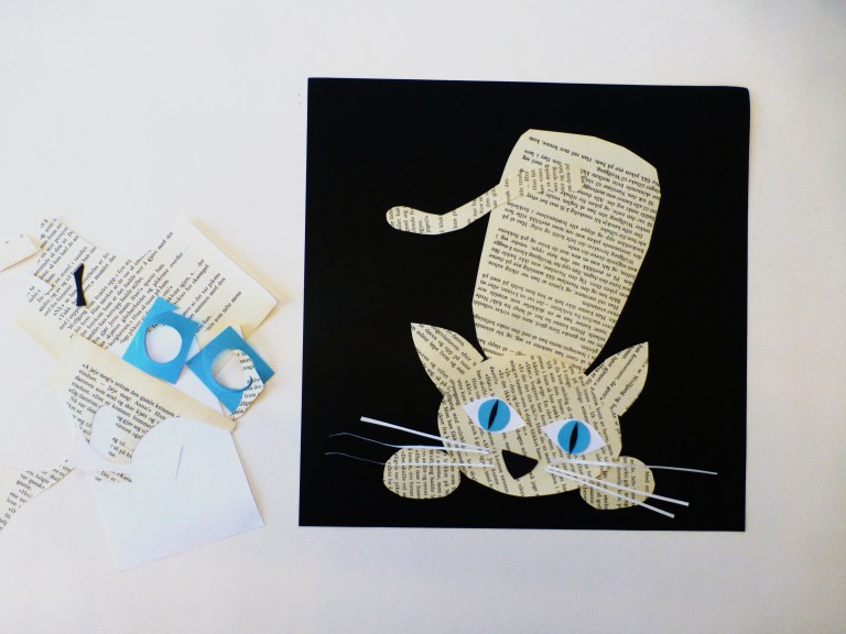 collage katt, avis, gjenbruk